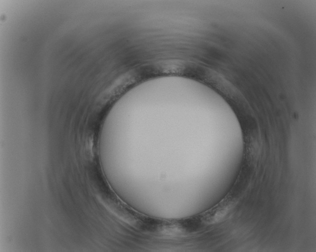 X0000062850262200601272049