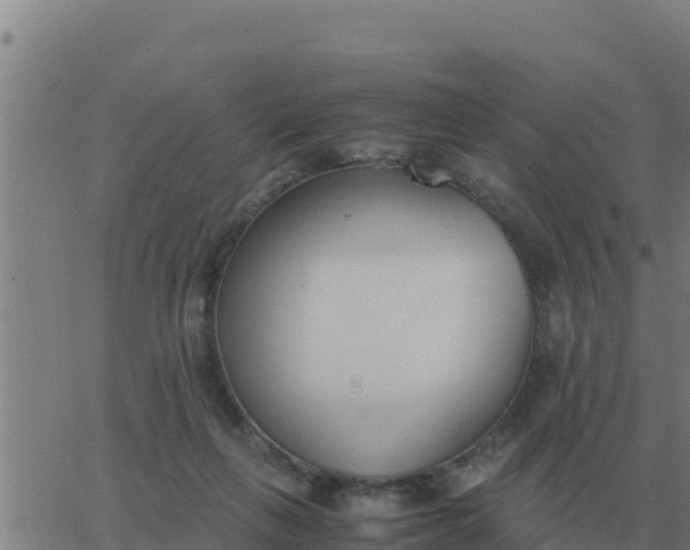 X0000062850263200601272049