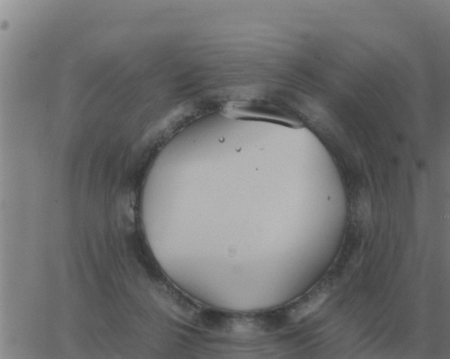 X0000062850264200601272049