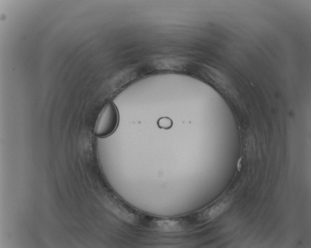 X0000062850265200601272049