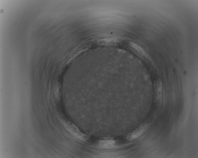 X0000062850266200601272049