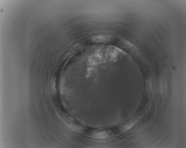 X0000062850267200601272049