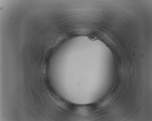 X0000062850268200601272049