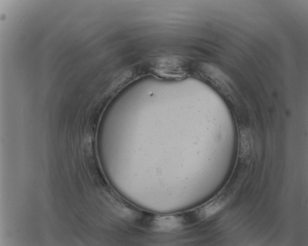 X0000062850269200601272049