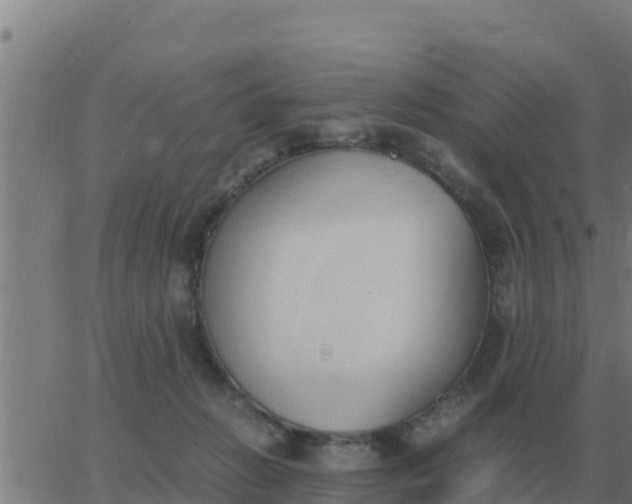 X0000062850270200601272049