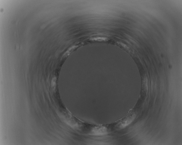 X0000062850271200601272049