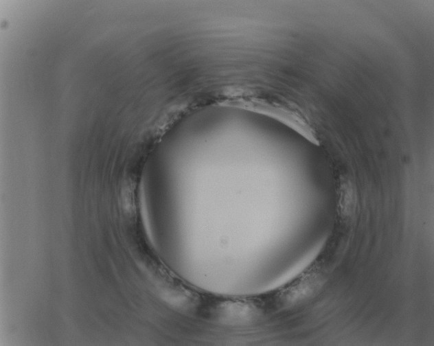 X0000062850272200601272049