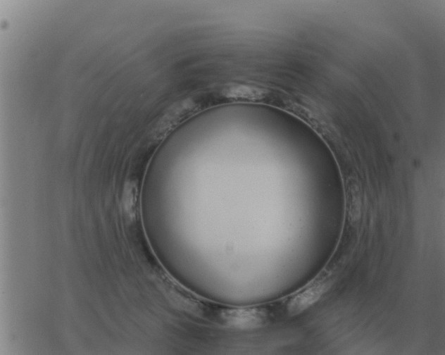 X0000062850273200601272049