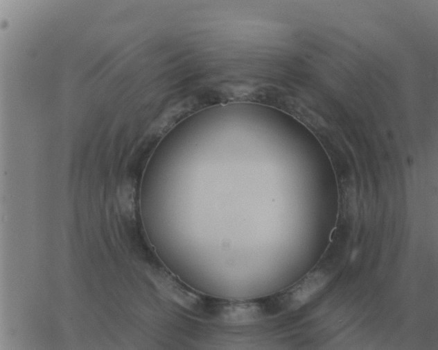 X0000062850274200601272049