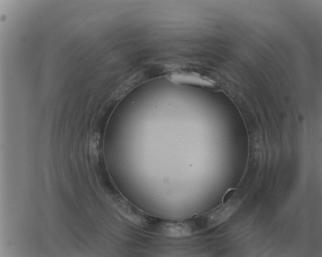 X0000062850275200601272049