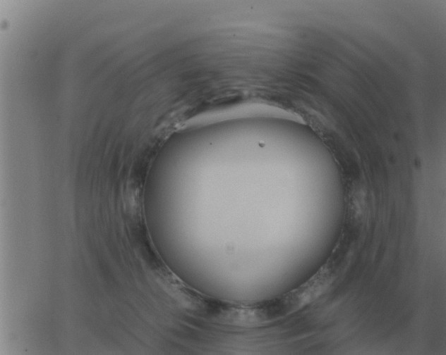 X0000062850276200601272049