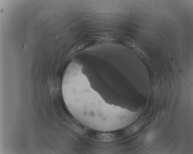 X0000062850277200601272049