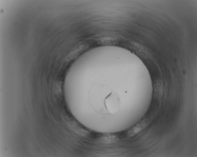 X0000062850278200601272049