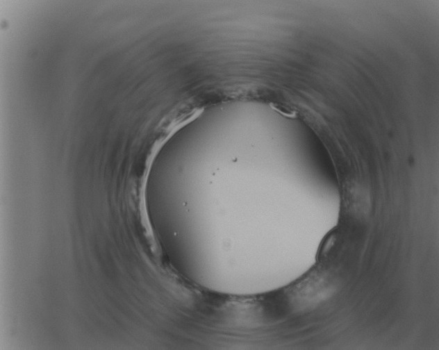 X0000062850280200601272049