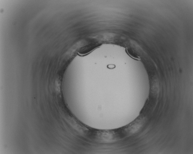 X0000062850282200601272049