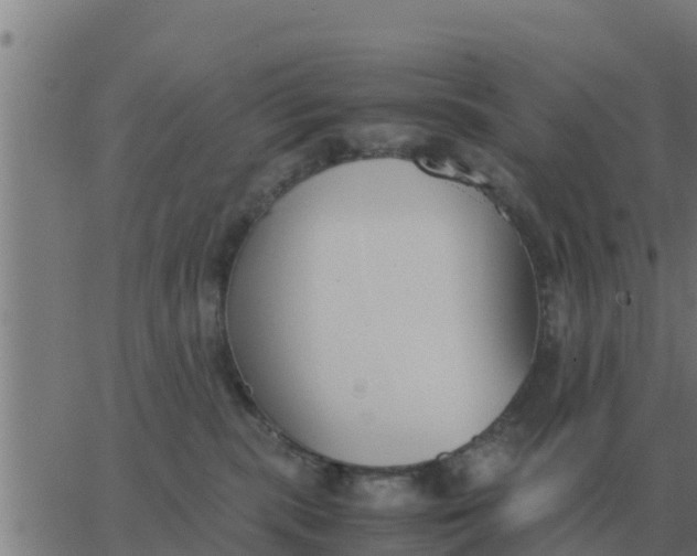 X0000062850283200601272049