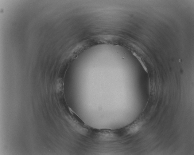 X0000062850284200601272049