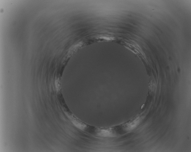 X0000062850285200601272049