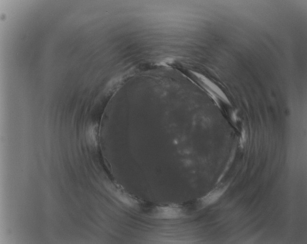 X0000062850286200601272049