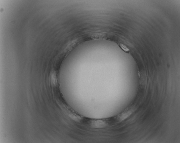 X0000062850287200601272049