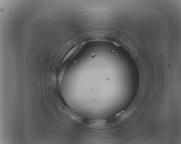 X0000062850288200601272049