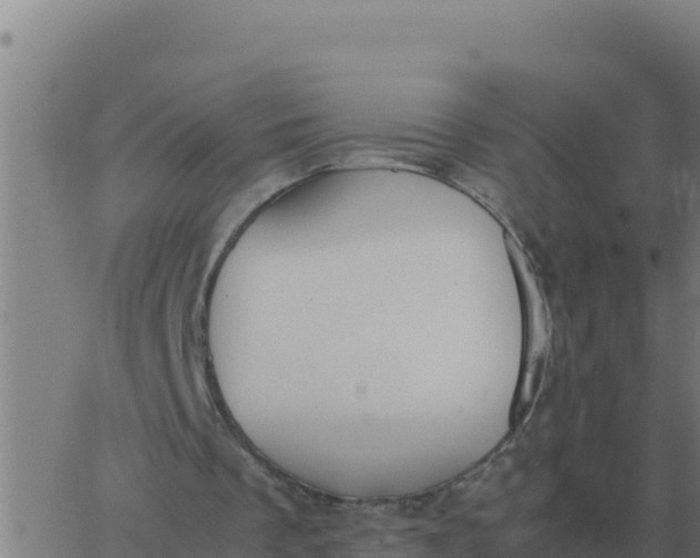 X0000062850289200601272048