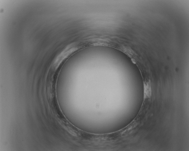 X0000062850291200601272048