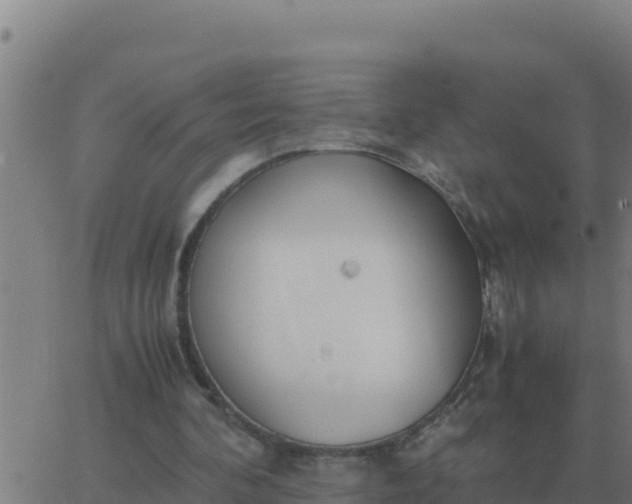 X0000062850292200601272048