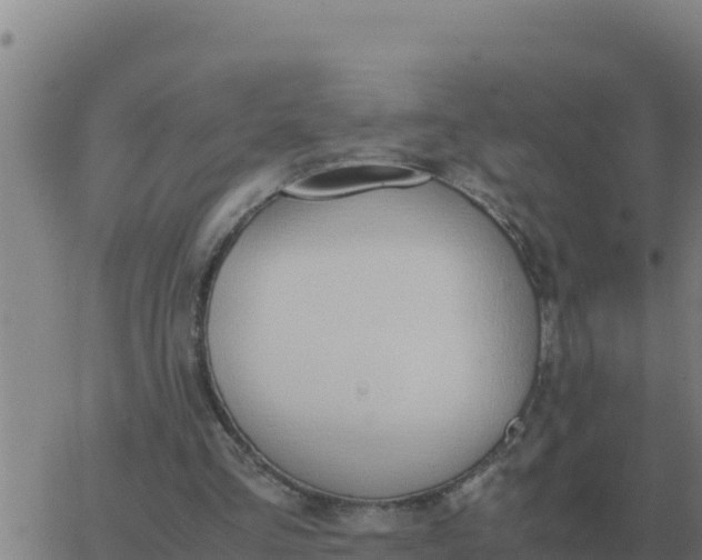 X0000062850293200601272048