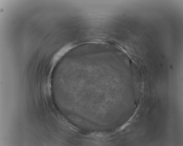 X0000062850294200601272048