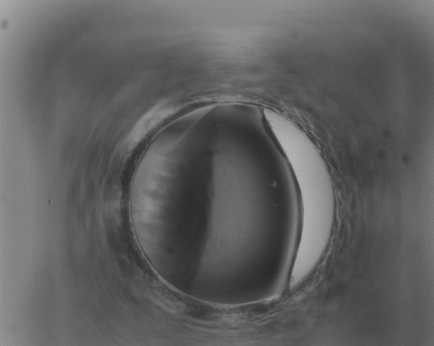 X0000062850295200601272048