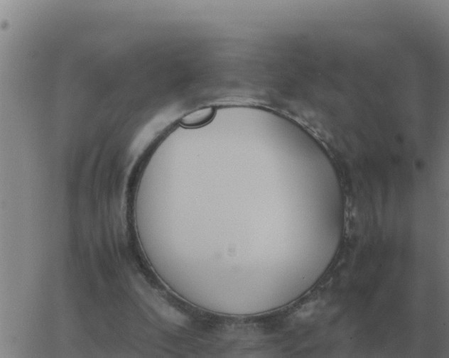 X0000062850296200601272048