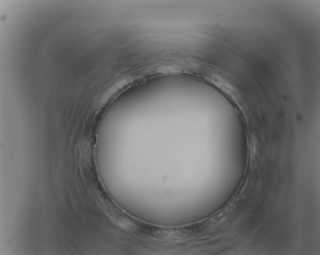 X0000062850297200601272048