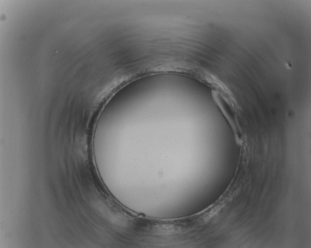 X0000062850298200601272048