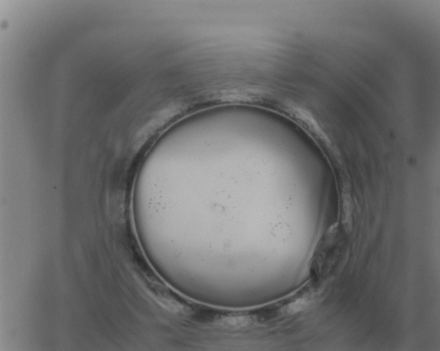 X0000062850299200601272048