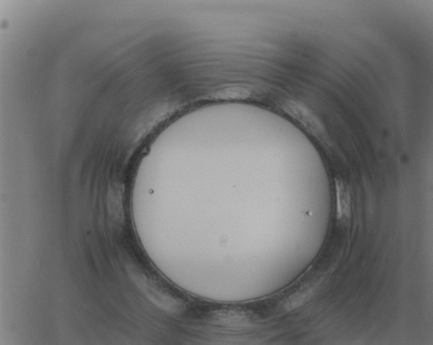 X0000062850300200601272048