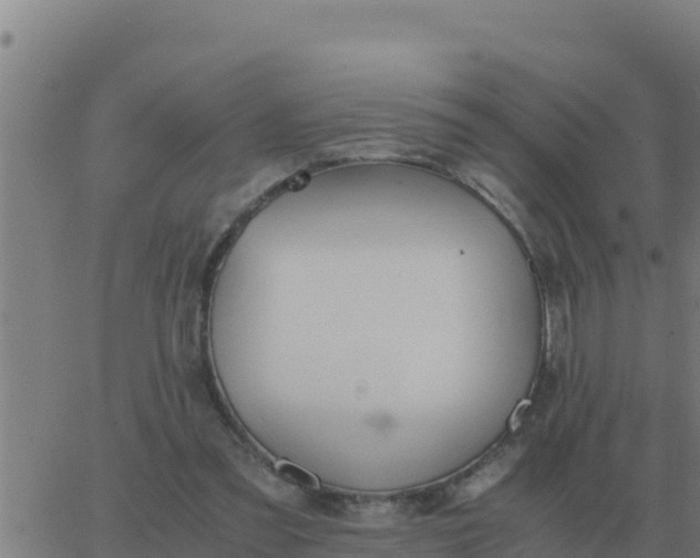 X0000062850301200601272048