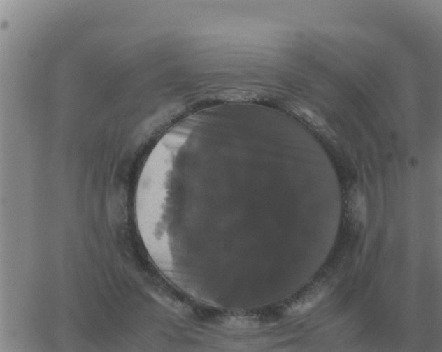 X0000062850303200601272048