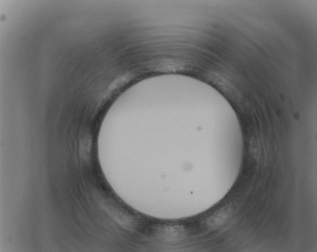 X0000062850304200601272048