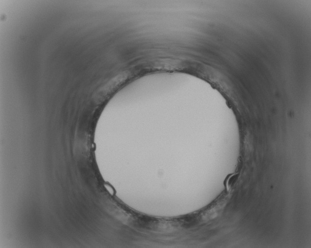 X0000062850305200601272048