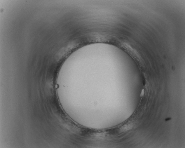 X0000062850306200601272048