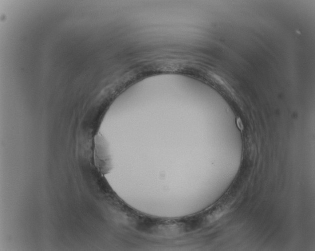 X0000062850307200601272048