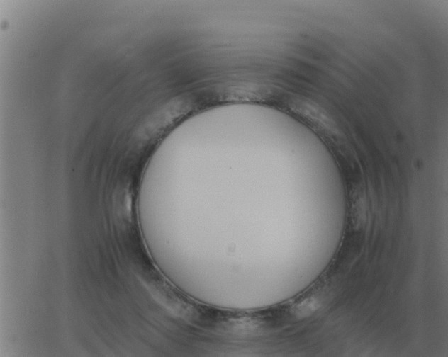 X0000062850310200601272048