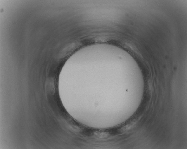 X0000062850311200601272048