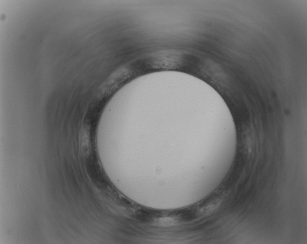 X0000062850312200601272048