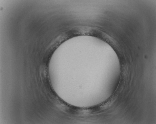 X0000062850313200601272048