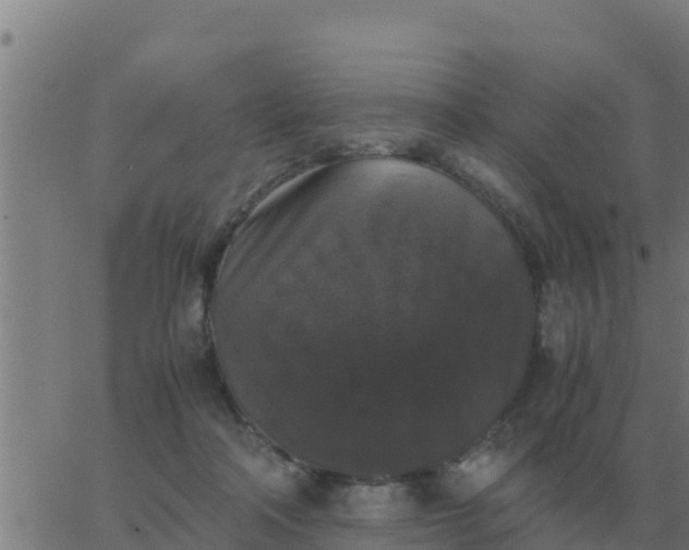 X0000062850314200601272048