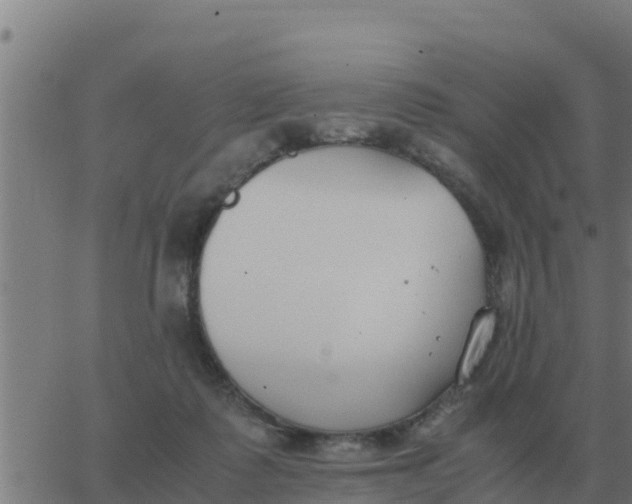 X0000062850315200601272048