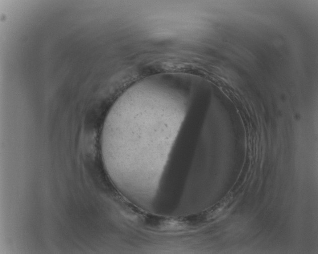 X0000062850319200601272048