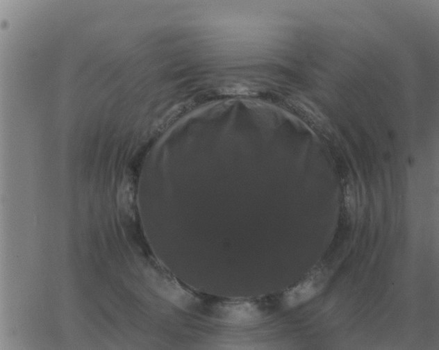 X0000062850322200601272048